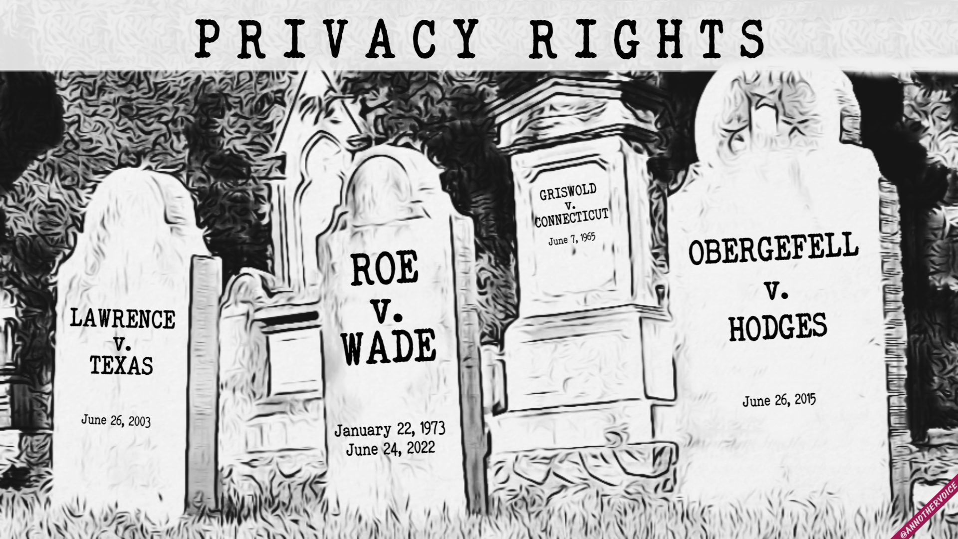 AnnotherVoice ∙ Roe v. Wade Overturned, What Next?